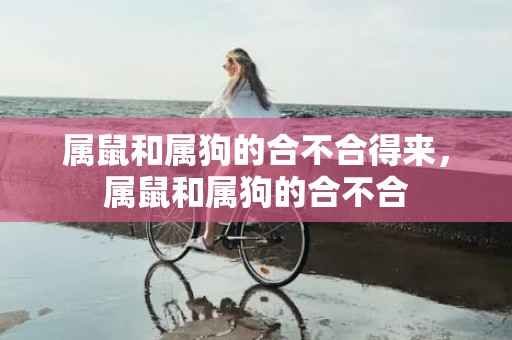 属鼠和属狗的合不合得来，属鼠和属狗的合不合