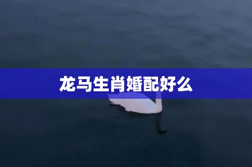 龙马生肖婚配好么