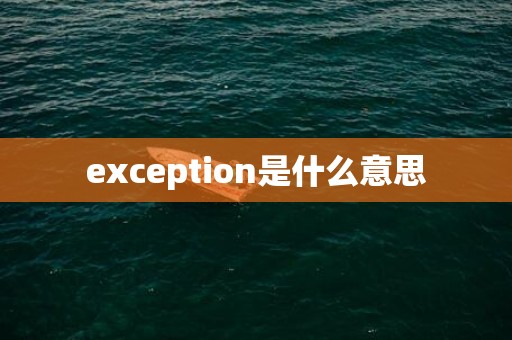 exception是什么意思