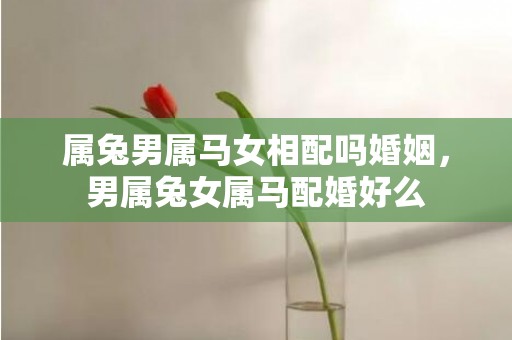 属兔男属马女相配吗婚姻，男属兔女属马配婚好么