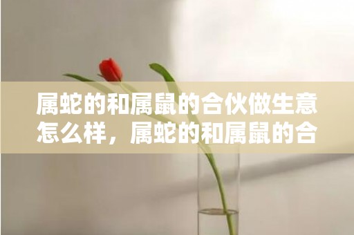属蛇的和属鼠的合伙做生意怎么样，属蛇的和属鼠的合不合