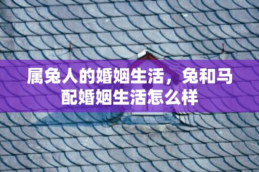 属兔人的婚姻生活，兔和马配婚姻生活怎么样