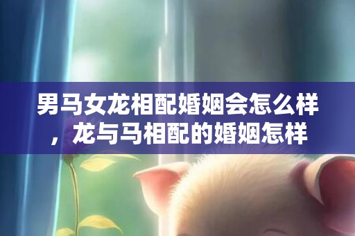 男马女龙相配婚姻会怎么样，龙与马相配的婚姻怎样