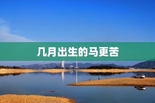 几月出生的马更苦