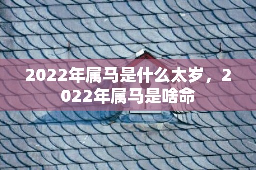 2022年属马是什么太岁，2022年属马是啥命