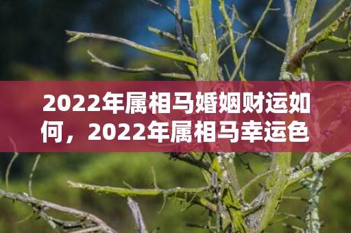 2022年属相马婚姻财运如何，2022年属相马幸运色是啥