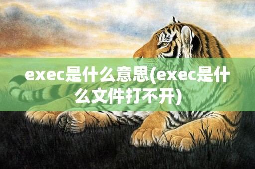exec是什么意思(exec是什么文件打不开)