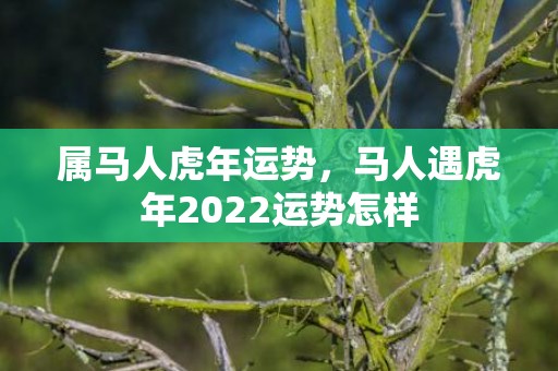 属马人虎年运势，马人遇虎年2022运势怎样