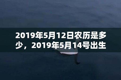 2019年5月12日农历是多少，2019年5月14号出生的男宝宝五行缺土要怎么样起名字