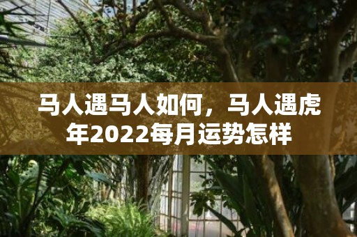 马人遇马人如何，马人遇虎年2022每月运势怎样