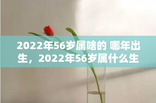 2022年56岁属啥的 哪年出生，2022年56岁属什么生肖