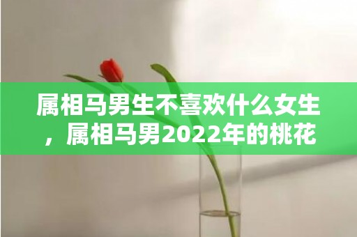 属相马男生不喜欢什么女生，属相马男2022年的桃花运方位