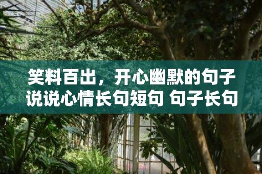 笑料百出，开心幽默的句子说说心情长句短句 句子长句