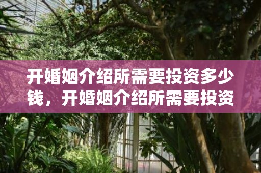 开婚姻介绍所需要投资多少钱，开婚姻介绍所需要投资多少钱合适，花了点钱去婚姻介绍所