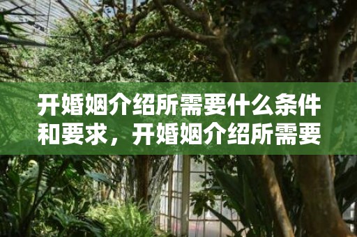 开婚姻介绍所需要什么条件和要求，开婚姻介绍所需要什么资质证书和资质