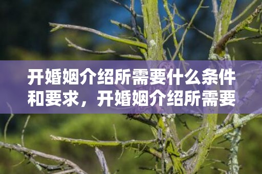 开婚姻介绍所需要什么条件和要求，开婚姻介绍所需要什么资质证书呢 网上开婚姻介绍所