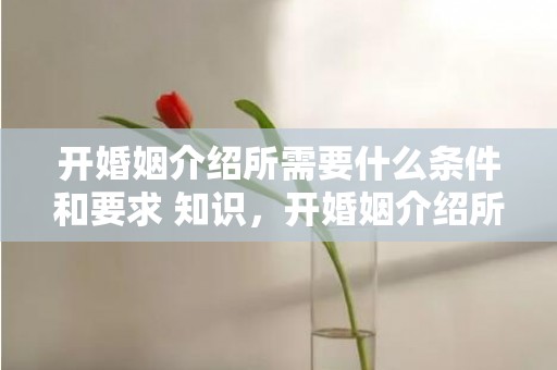开婚姻介绍所需要什么条件和要求 知识，开婚姻介绍所需要什么资质呢知乎，想开一个婚姻介绍所