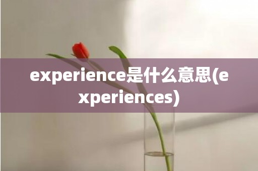 experience是什么意思(experiences)