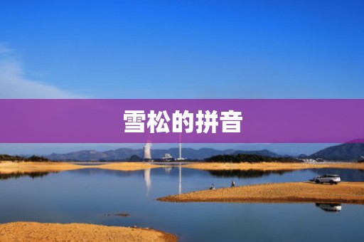 雪松的拼音