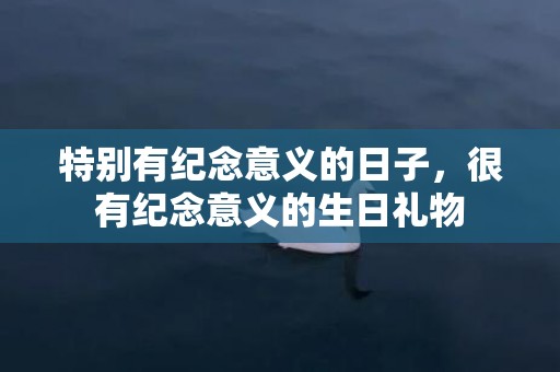 特别有纪念意义的日子，很有纪念意义的生日礼物
