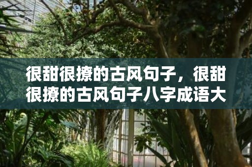 很甜很撩的古风句子，很甜很撩的古风句子八字成语大全集 又甜又撩的古风短句10个字