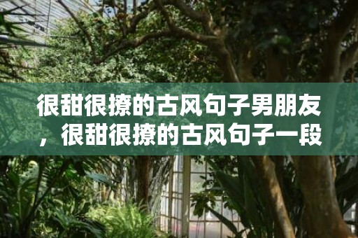 很甜很撩的古风句子男朋友，很甜很撩的古风句子一段话怎么写好看 很甜很撩的短文