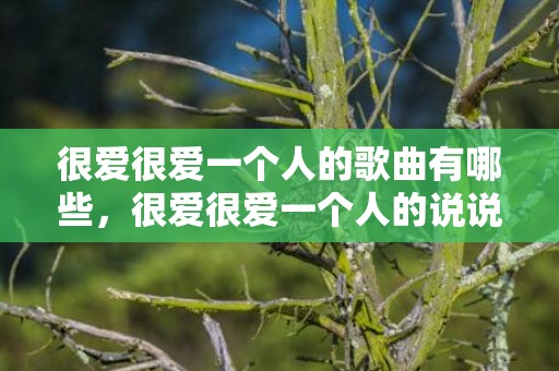 很爱很爱一个人的歌曲有哪些，很爱很爱一个人的说说,但不能明说 好爱一个人的说说