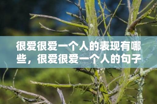 很爱很爱一个人的表现有哪些，很爱很爱一个人的句子英语翻译