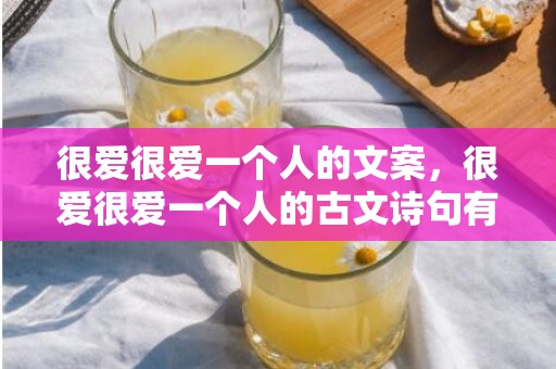 很爱很爱一个人的文案，很爱很爱一个人的古文诗句有哪些，表示爱上一个人的诗句