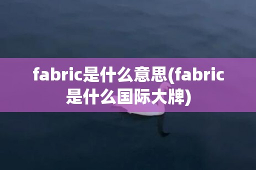 fabric是什么意思(fabric是什么国际大牌)