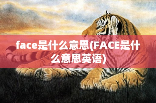 face是什么意思(FACE是什么意思英语)