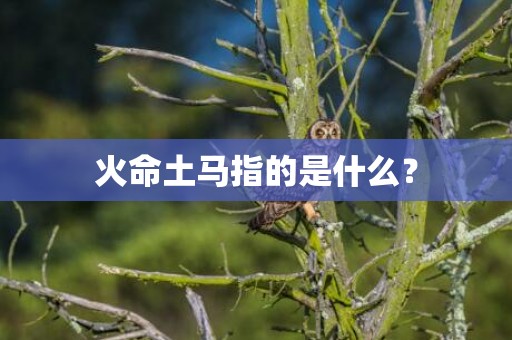 火命土马指的是什么？