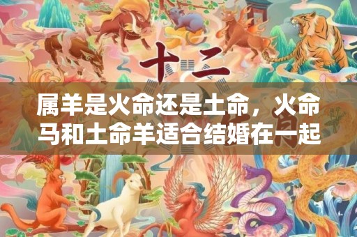 属羊是火命还是土命，火命马和土命羊适合结婚在一起吗？