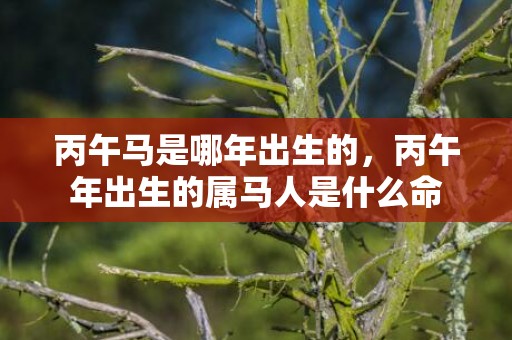丙午马是哪年出生的，丙午年出生的属马人是什么命