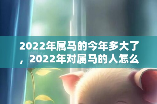 2022年属马的今年多大了，2022年对属马的人怎么样