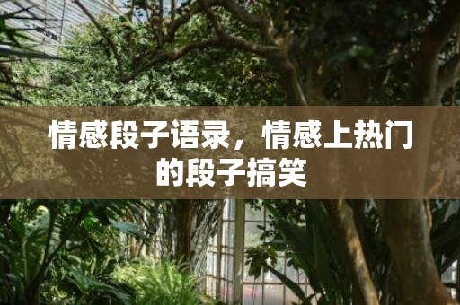 情感段子语录，情感上热门的段子搞笑
