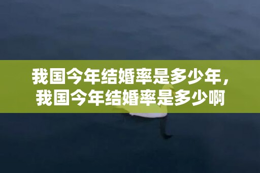 我国今年结婚率是多少年，我国今年结婚率是多少啊