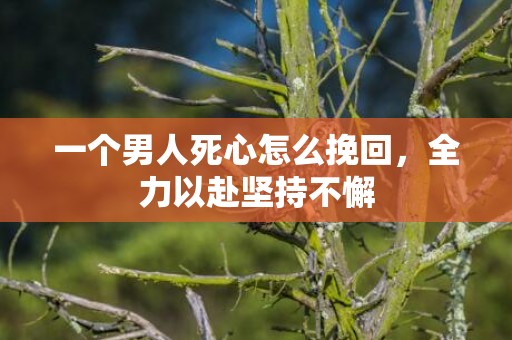 一个男人死心怎么挽回，全力以赴坚持不懈