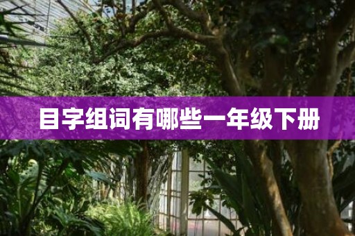 目字组词有哪些一年级下册