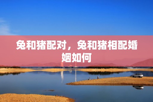 兔和猪配对，兔和猪相配婚姻如何