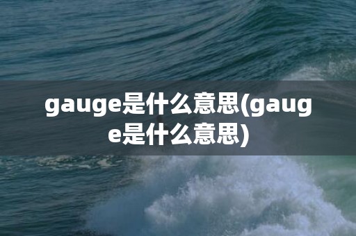 gauge是什么意思(gauge是什么意思)