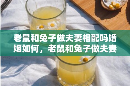 老鼠和兔子做夫妻相配吗婚姻如何，老鼠和兔子做夫妻相配吗