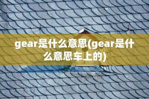 gear是什么意思(gear是什么意思车上的)