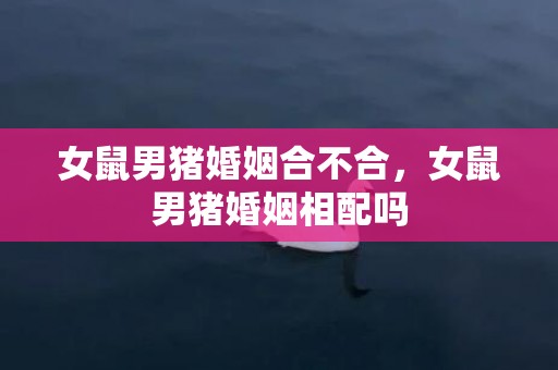 女鼠男猪婚姻合不合，女鼠男猪婚姻相配吗
