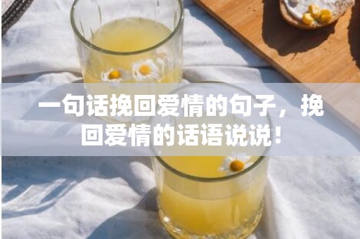 一句话挽回爱情的句子，挽回爱情的话语说说！