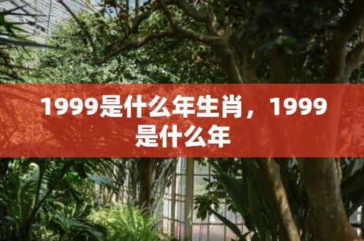 1999是什么年生肖，1999是什么年