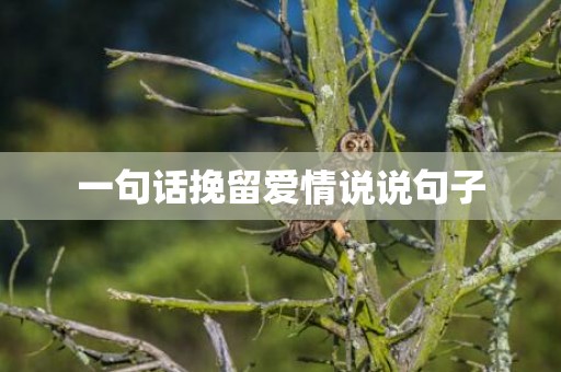 一句话挽留爱情说说句子