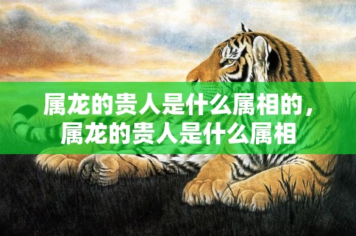 属龙的贵人是什么属相的，属龙的贵人是什么属相