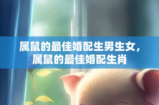 属鼠的最佳婚配生男生女，属鼠的最佳婚配生肖