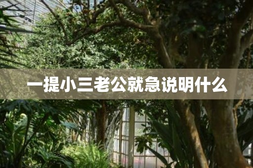 一提小三老公就急说明什么